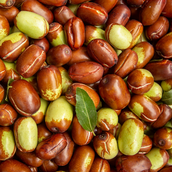 Huile de jojoba, l’alliée des peaux mixtes à grasses