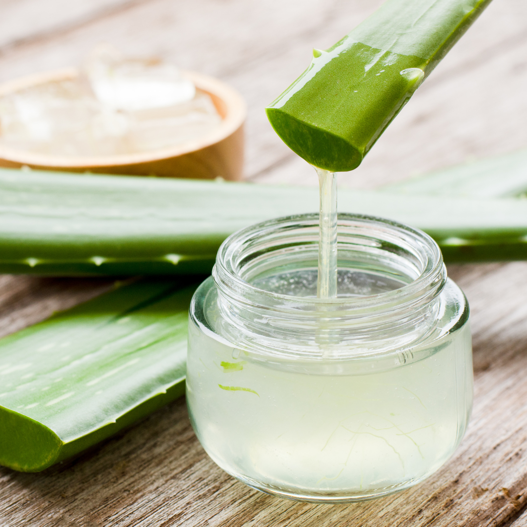 Les bienfaits de l’Aloe Vera pour les peaux déshydratées